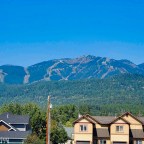 My Circus. My Monkeys.