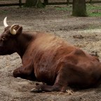 Empowerment Rant 2/3