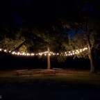 Ice Cream and Theme Parks